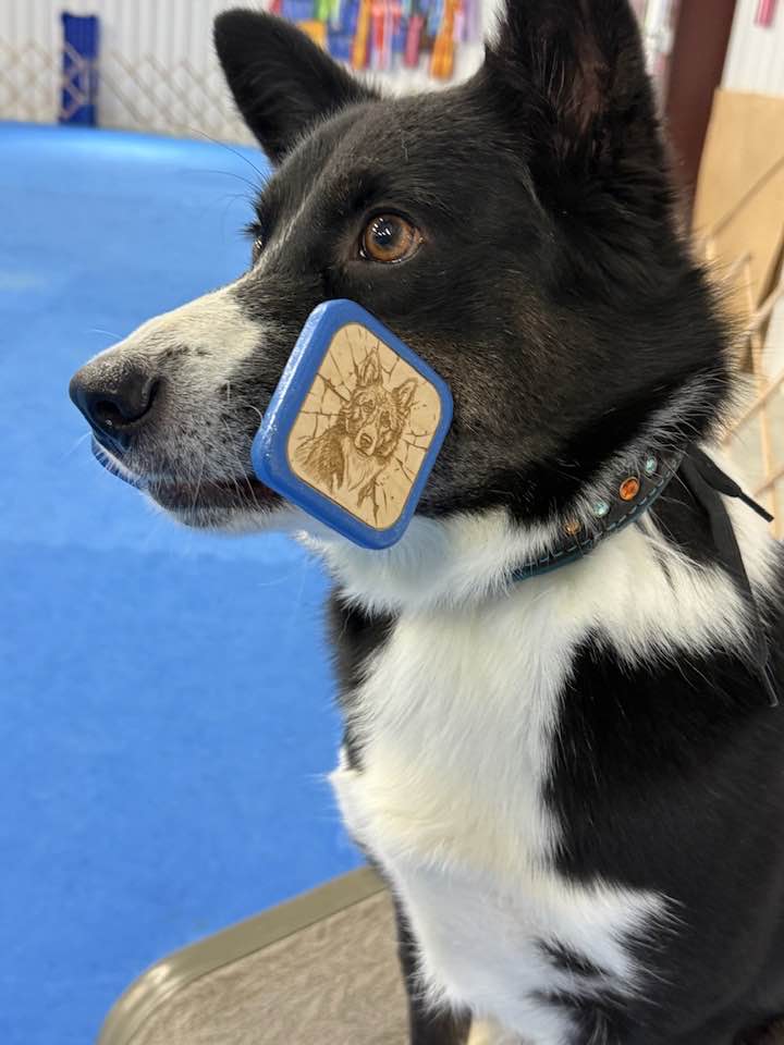  Neo, with his custom Matrix themed dumbbell. 