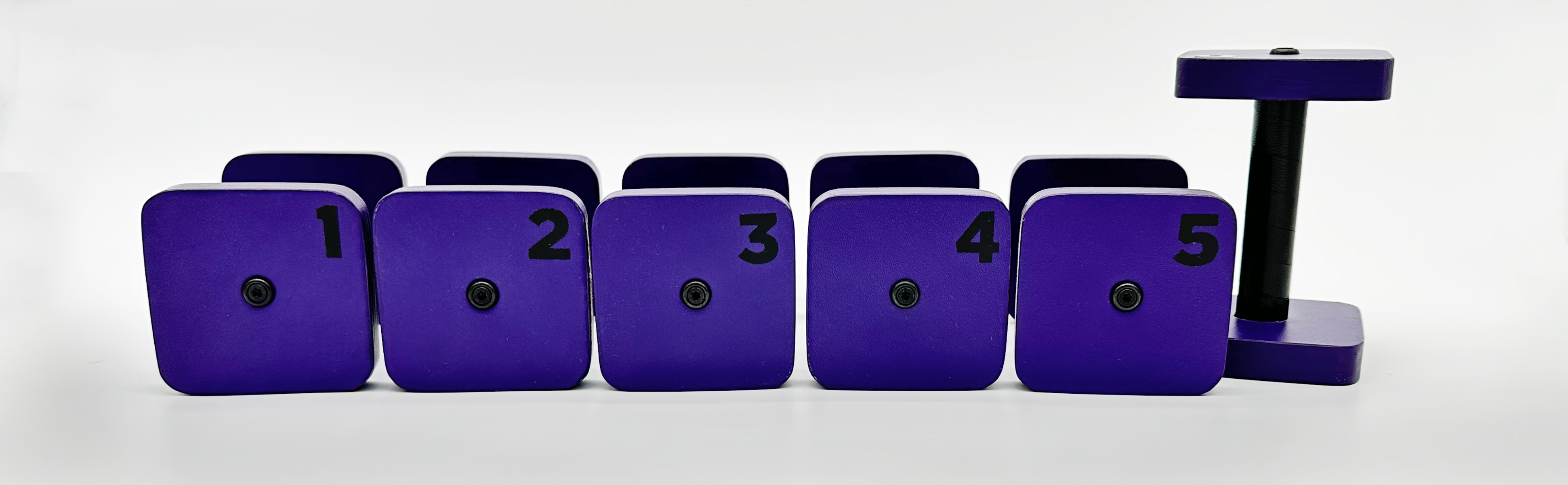  Heritage series in Amethyst with black bars. 